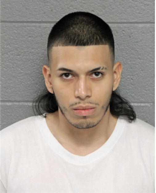 ROBERTO NAVARRO-REYES JR, Cook County, Illinois