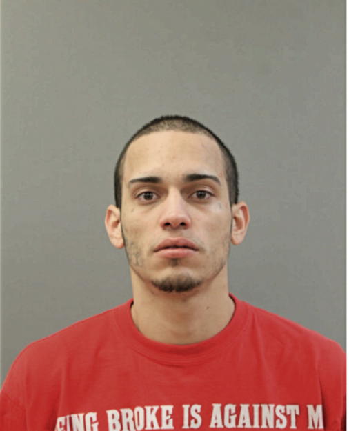 DANIEL J MONTALVO, Cook County, Illinois