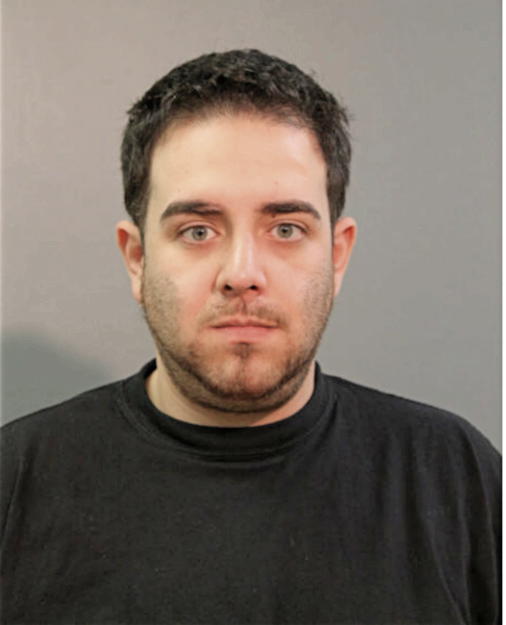 JOSEPH C NASEEF, Cook County, Illinois