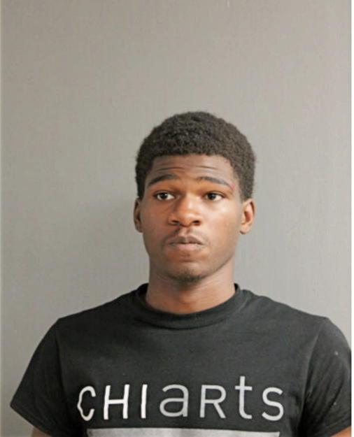 JUSTIN Z PAYNE, Cook County, Illinois