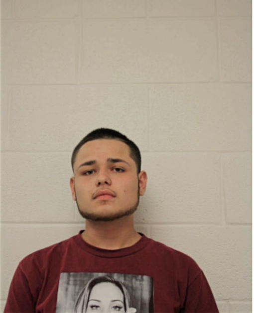 JOHN J PEREZ, Cook County, Illinois