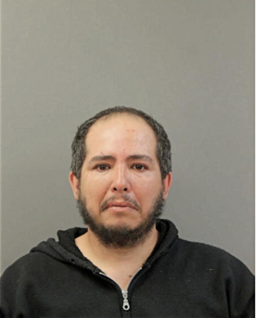 HUGO L RAICES, Cook County, Illinois