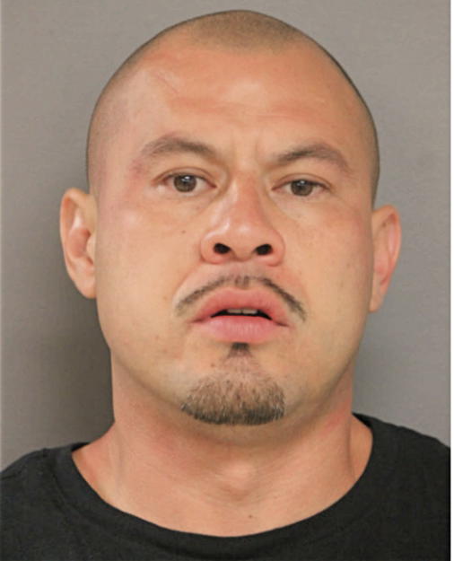 DANIEL A RAMOS, Cook County, Illinois