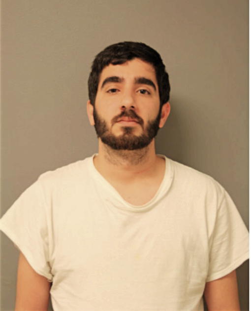 LOUIS M RAMOS, Cook County, Illinois