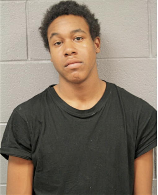 TRAVIS W SLAUGHTAIRE, Cook County, Illinois