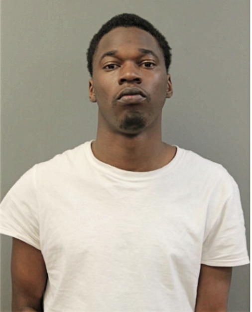 ROBERT T SOLOMON, Cook County, Illinois
