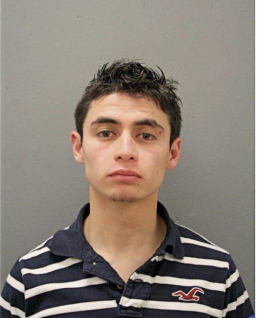 IRVING VALDIVIA-CAMPOS, Cook County, Illinois