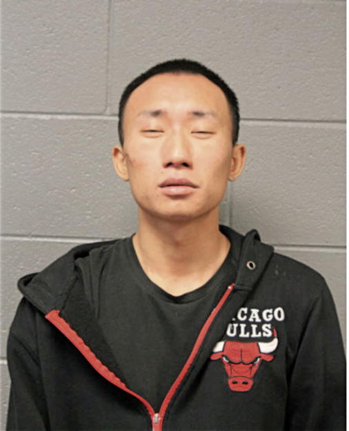 DAVID K VANG, Cook County, Illinois