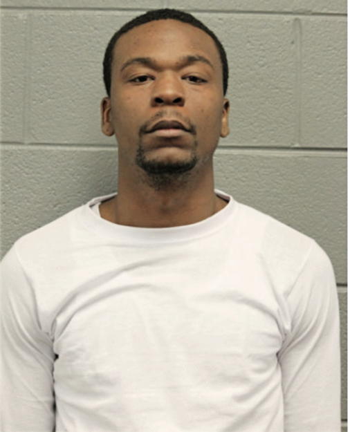 JERRY L WILLIAMS, Cook County, Illinois