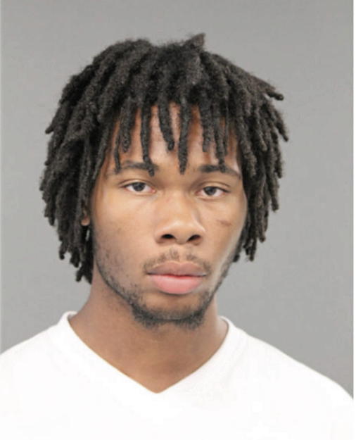 MARTIN L WILLIAMS, Cook County, Illinois