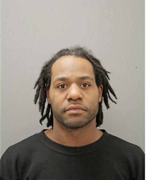 CRAIG L WILSON, Cook County, Illinois