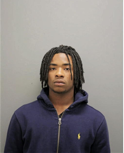 JUSTIN L WISE, Cook County, Illinois