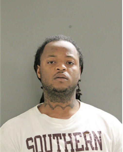 JAVIER L ANDERSON, Cook County, Illinois