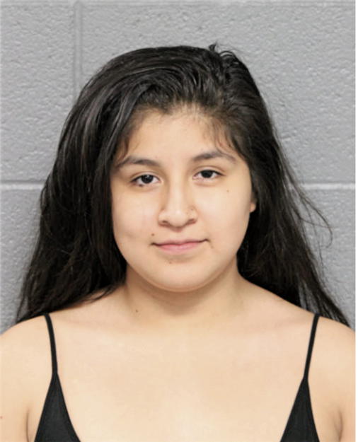 JOCELYN ANDRADE, Cook County, Illinois