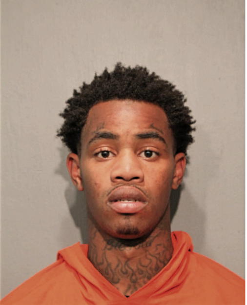 TERRICK C BEASLEY, Cook County, Illinois