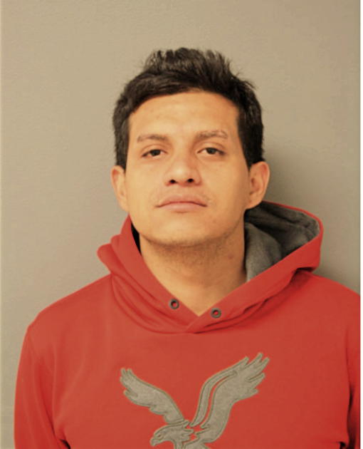 CARLOS E CERRITOS, Cook County, Illinois