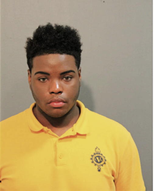 DERRICK S ELLISON, Cook County, Illinois