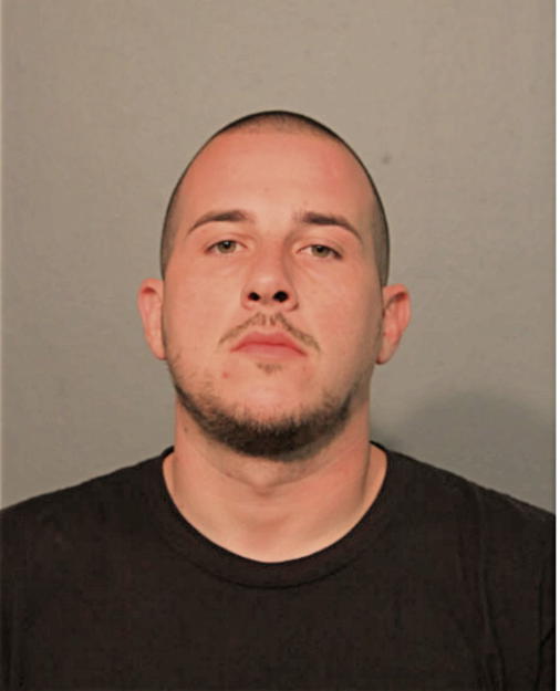 MICHAEL A ERNEST, Cook County, Illinois