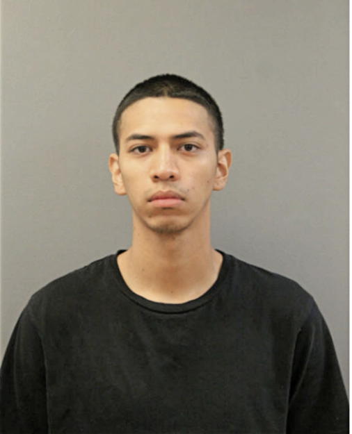ALBERT FLORES, Cook County, Illinois
