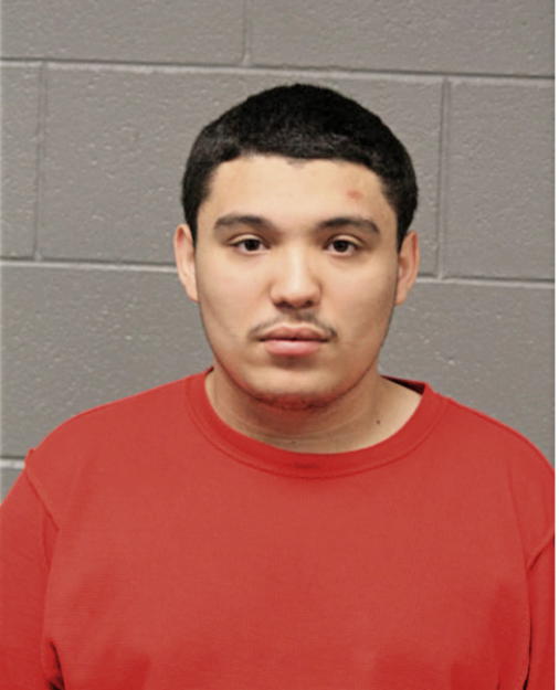 MICHAEL GARZA, Cook County, Illinois