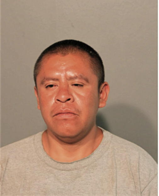 ANDRES GONZALEZ, Cook County, Illinois
