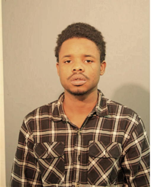 TERRILL T HAYES, Cook County, Illinois