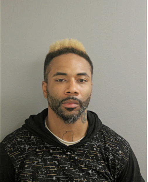 BRANDON IW HENRY, Cook County, Illinois