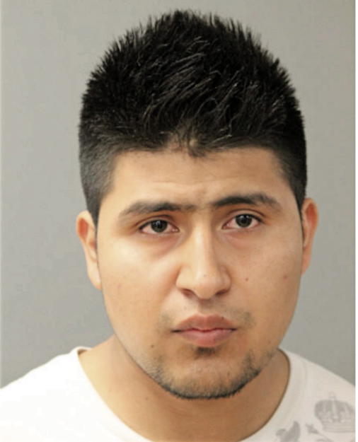 ROBERTO HERNANDEZ-SANCHEZ, Cook County, Illinois