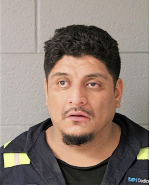 SERGIO X HERNANDEZ, Cook County, Illinois