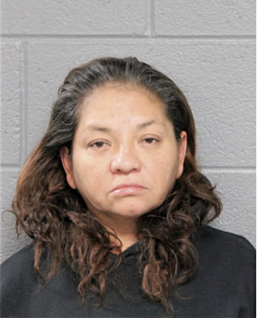 TAMMY R JAMAL, Cook County, Illinois