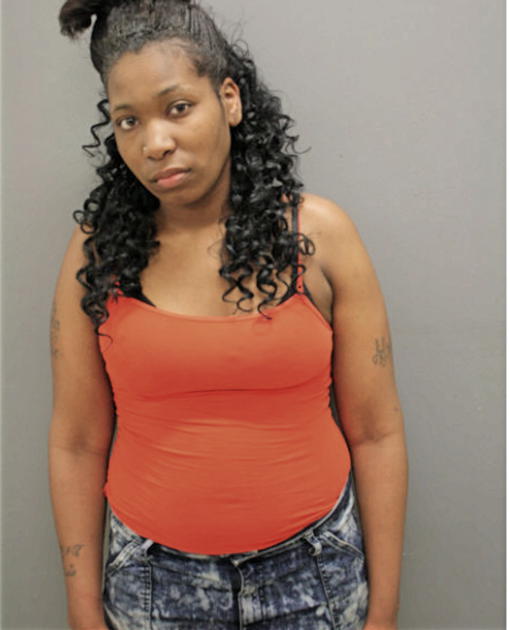 ADRIANNE L JOHNSON, Cook County, Illinois