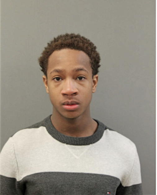 DYNELL C JONES JR, Cook County, Illinois