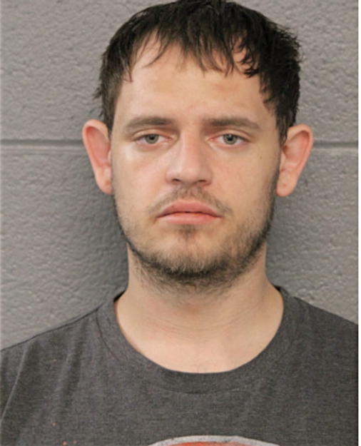 THOMAS E KADLEC, Cook County, Illinois