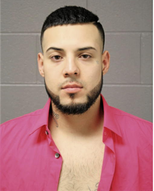 LUIS LEYVA, Cook County, Illinois