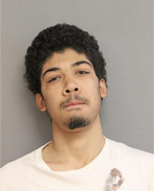 WILLIE J MCGEE, Cook County, Illinois