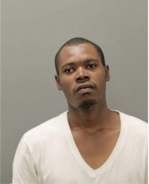 ERIC T NELLEM, Cook County, Illinois