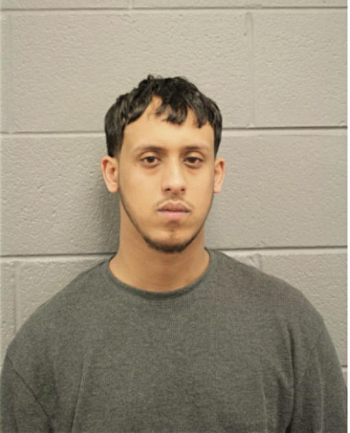 MOHAMED M OBADI, Cook County, Illinois