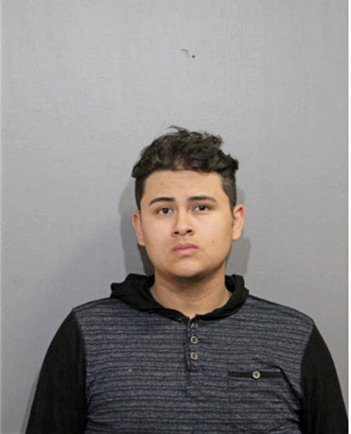 JOSE A ORTEGA, Cook County, Illinois