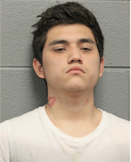 ALFREDO REYES, Cook County, Illinois