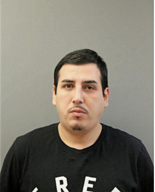 EDGAR RIVAS, Cook County, Illinois