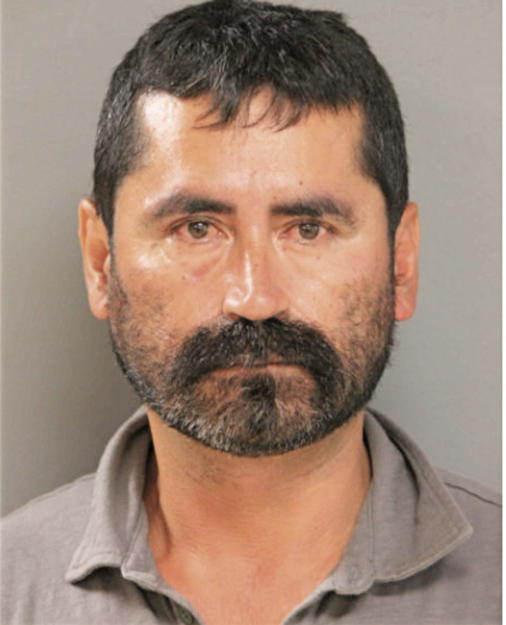 RENE ROSALES, Cook County, Illinois