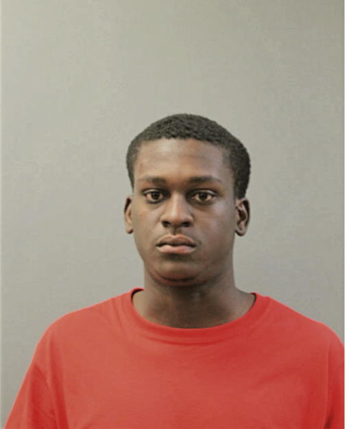 DEVON L RUSHIN, Cook County, Illinois