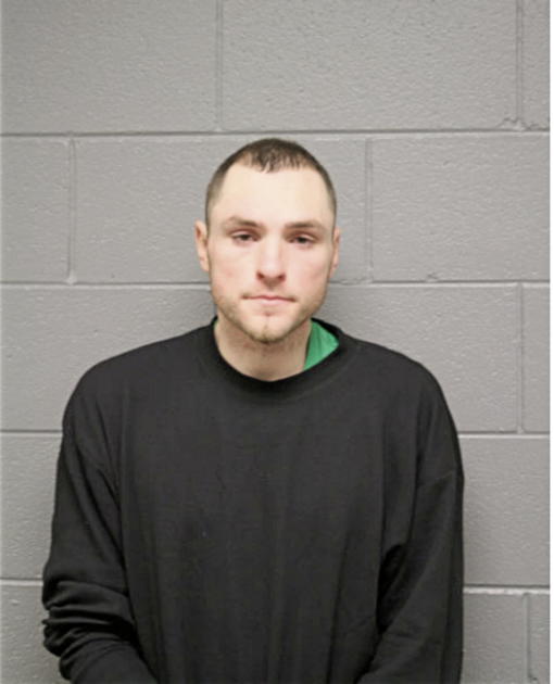 BRADLEY M SCHULTEN, Cook County, Illinois