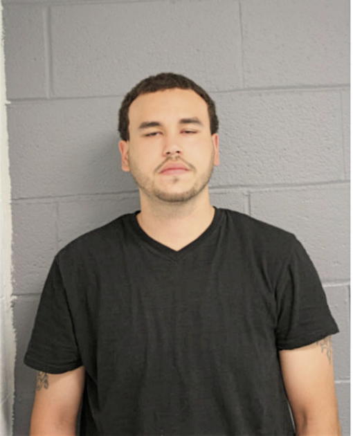 BERNARD J STROWDER, Cook County, Illinois