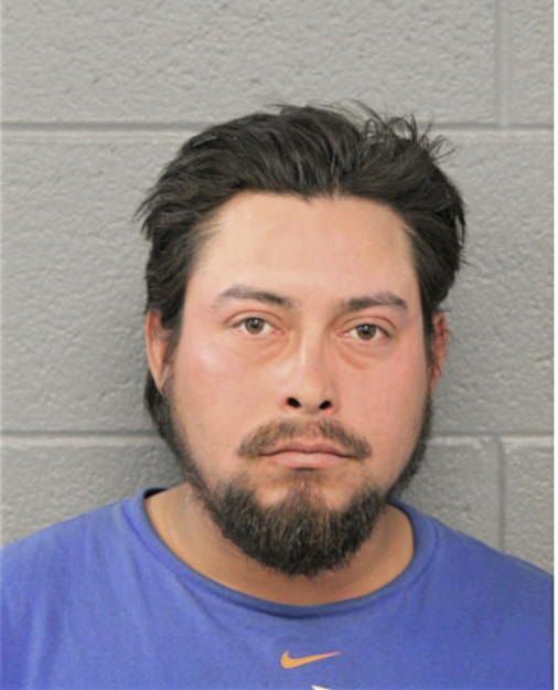 RENE VIDERIQUE, Cook County, Illinois
