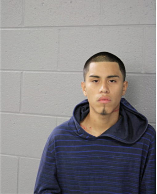 NOEL S ANDRADE-GARCIA, Cook County, Illinois