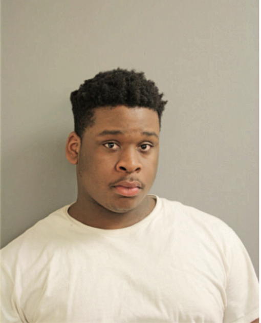 ALVIN A BURRAGE, Cook County, Illinois