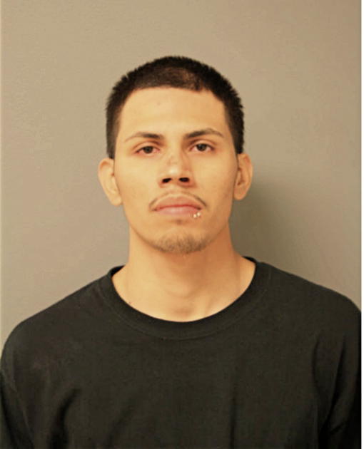 MOISES ANTONIO CABRALES, Cook County, Illinois
