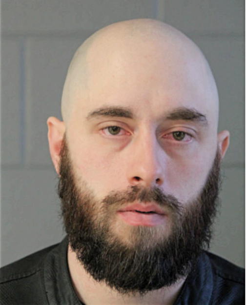 RYAN L DRISH, Cook County, Illinois