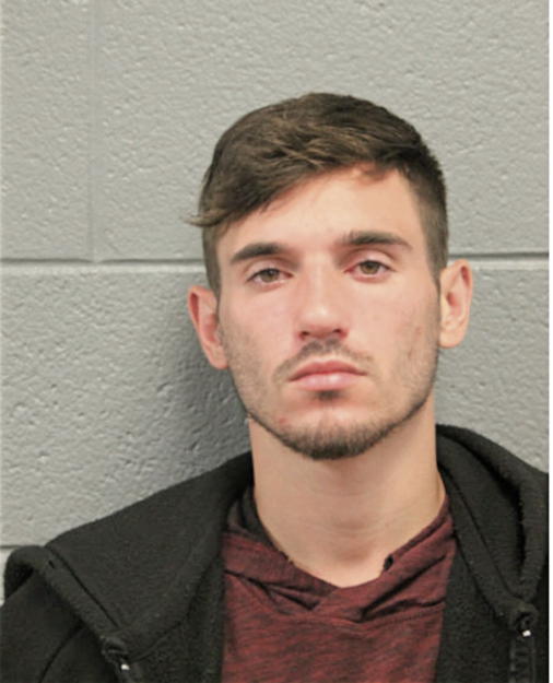TAYLOR J EGAN, Cook County, Illinois